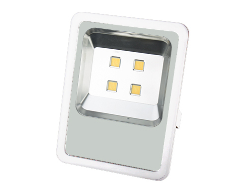 xcite floodlight 200w white