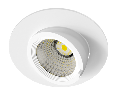 xcite scoop spotlight